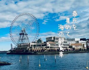 春光を集めて海の観覧車