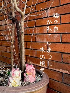 猫の恋かれてしまつた木の根元