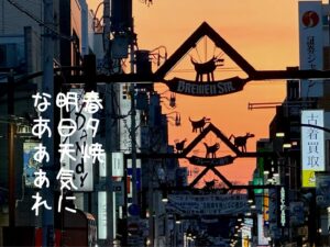 春夕焼明日天気になあああれ