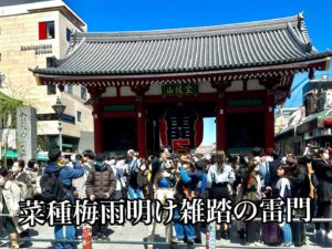 菜種梅雨明け雑踏の雷門