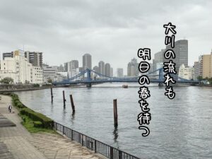 大川の流れも明日の春を待つ