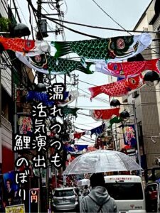 濡れつつも活気演出鯉のぼり