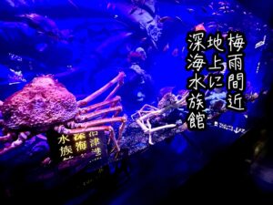 梅雨間近地上に深海水族館