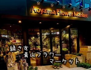 緑さす青山フラワーマーケット