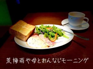 荒梅雨や母とおんなじモーニング