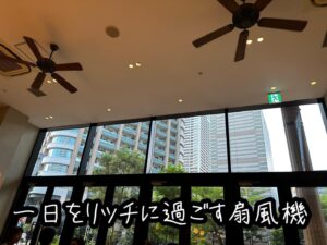 一日をリッチに過ごす扇風機
