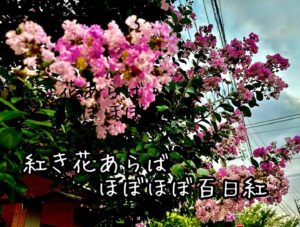 紅き花あらばほぼほぼ百日紅