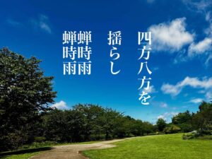 四方八方(よもやも)を揺らし蟬時雨蟬時雨