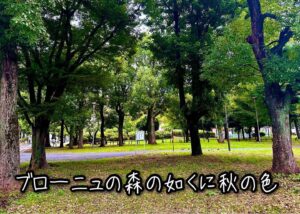 ブローニュの森の如くに秋の色
