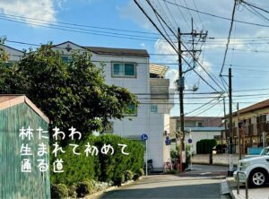 柿たわわ生まれて初めて通る道