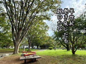 半世紀巻き戻したる秋日かな