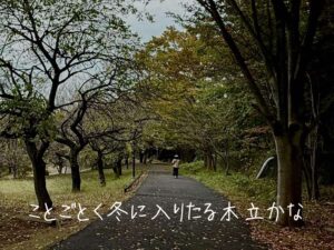 ことごとく冬に入りたる木立かな