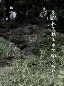 冬ざれて枯山水の如くなり