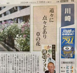 道々に点々とあり草の花
