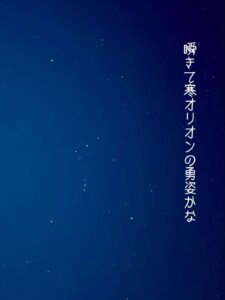 瞬きて寒オリオンの勇姿かな