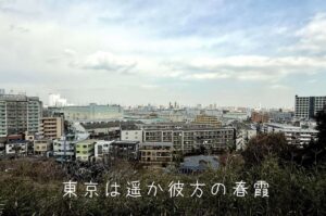 東京は遥か彼方の春霞