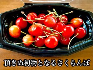 頂きぬ初物となるさくらんぼ