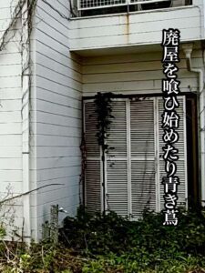 廃屋を喰ひ始めたり青き蔦