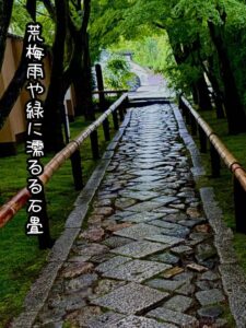荒梅雨や緑に濡るる石畳