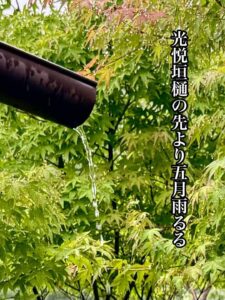 光悦垣樋（とい）の先より五月雨るる
