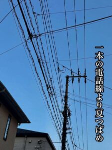 一本の電話線より夏つばめ