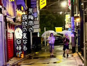 荒梅雨の路地の裏なる傘傾げ