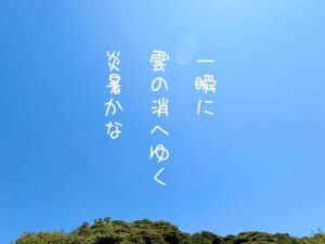 一瞬に雲の消へゆく炎暑かな