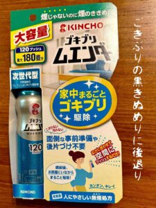 ごきぶりの黒きぬめりに後退り