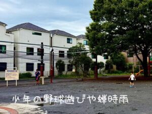 少年の野球遊びや蝉時雨