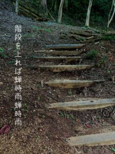 階段を上れば蝉時雨蝉しぐれ