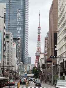 秋霖にか細き東京タワーかな