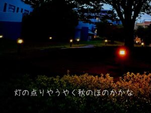 灯の点りやうやく秋のほのかかな