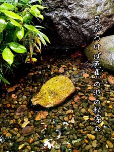 気がつけば芭蕉の池の秋深む