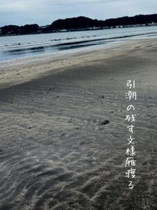 引潮の残す文様雁渡る