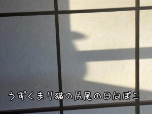 うずくまり猫の尻尾の日向ぼこ