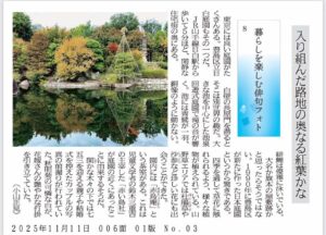 入り組んだ路地の奥なる紅葉かな