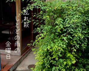 乱れ萩しとどの雨の金曜日