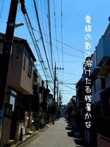 電線の影の溶けたる残暑かな