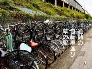 通勤の自転車並び草の絮(わた)