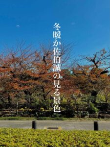 冬暖か佐伯誠の見る景色