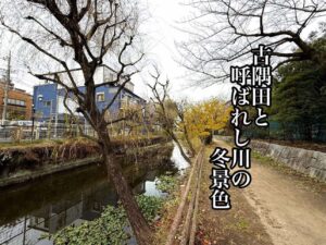 古隅田と呼ばれし川の冬景色