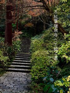 冬紅葉瑞泉寺へと続く道