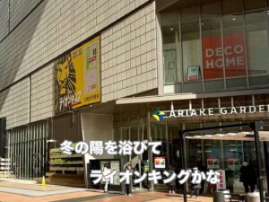 冬の陽を浴びてライオンキングかな