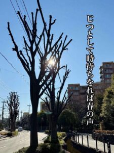 じつとして時待ちをれば春の声