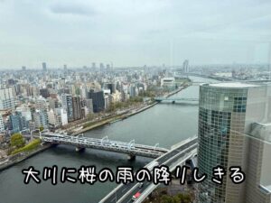 大川に桜の雨の降りしきる