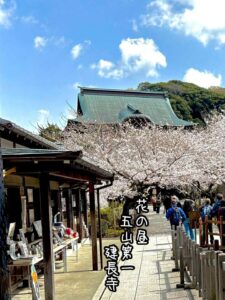 花の昼五山第一建長寺