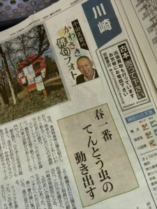 春一番てんとう虫の動き出す