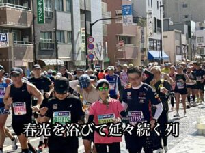 春光を浴びて延々続く列