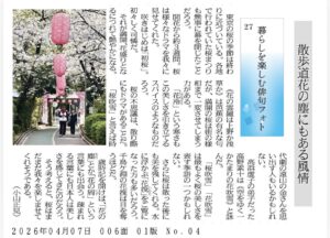 散歩道花の塵にもある風情