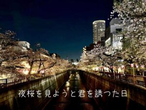 夜桜を見ようと君を誘つた日